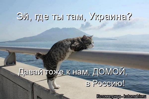 Котоматрица: Эй, где ты там, Украина? Давай тоже к нам, ДОМОЙ,   в Россию!