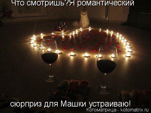 Котоматрица: Что смотришь?Я романтический сюрприз для Машки устраиваю!
