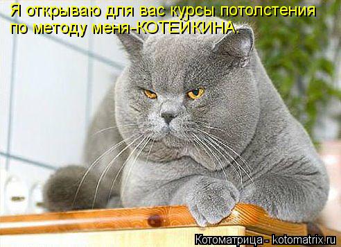 Котоматрица: Я открываю для вас курсы потолстения по методу меня-КОТЕЙКИНА.
