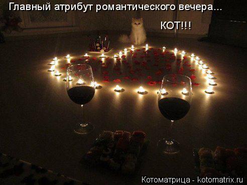 Котоматрица: Главный атрибут романтического вечера... КОТ!!!