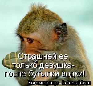 Котоматрица: Страшней ее, только девушка- после бутылки водки!