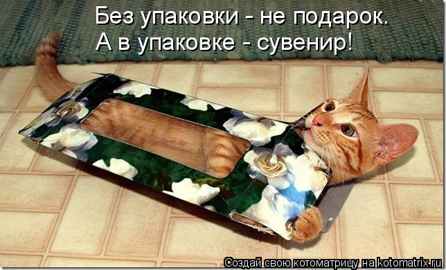 Котоматрица: Без упаковки - не подарок. А в упаковке - сувенир!