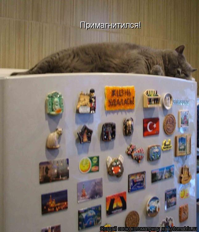 Котоматрица: Примагнитился!