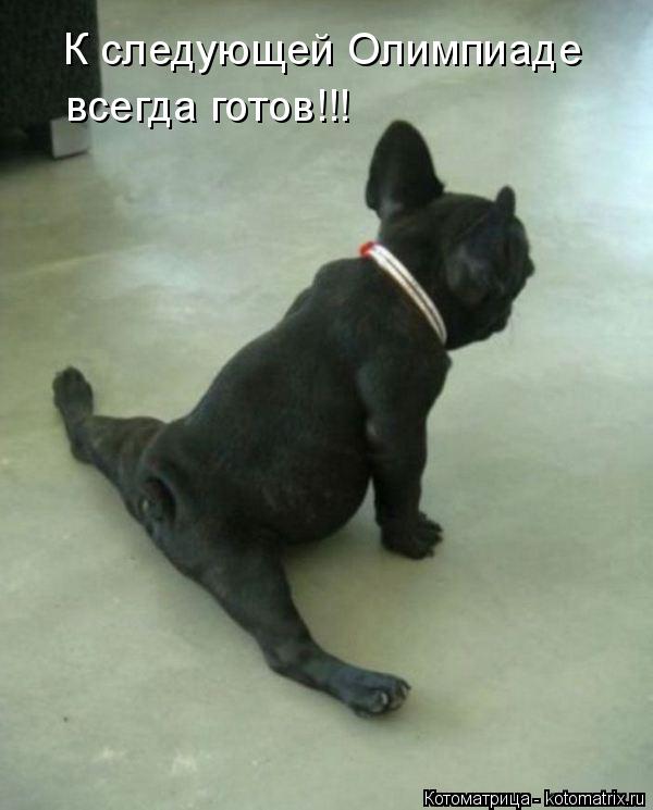 Котоматрица: К следующей Олимпиаде  всегда готов!!!