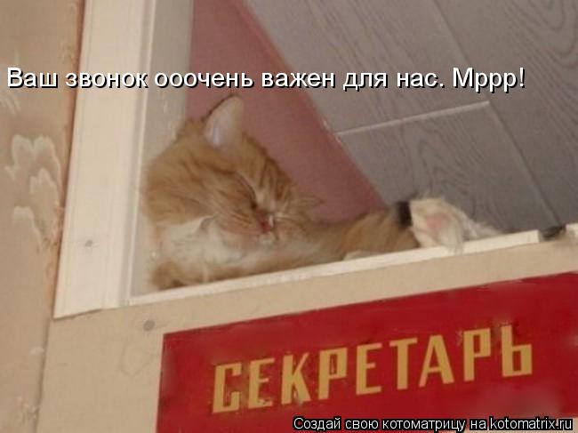 Котоматрица: Ваш звонок ооочень важен для нас. Мррр!