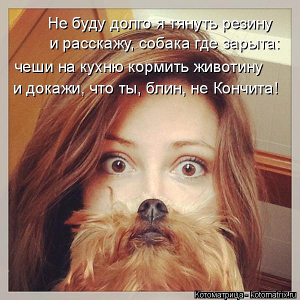 Котоматрица: Не буду долго я тянуть резину и расскажу, собака где зарыта: чеши на кухню кормить животину и докажи, что ты, блин, не Кончита!