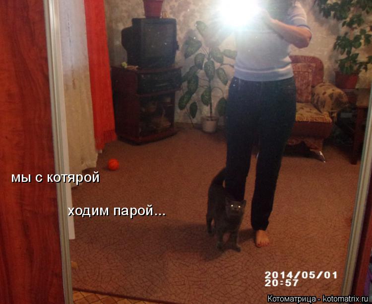 Котоматрица: мы с котярой ходим парой...