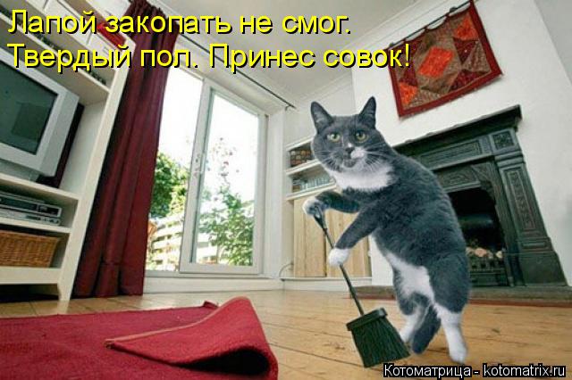 Котоматрица: Лапой закопать не смог. Твердый пол. Принес совок!