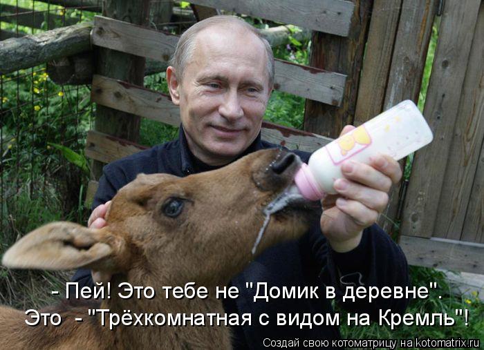 Котоматрица: Это  - "Трёхкомнатная с видом на Кремль"! - Пей! Это тебе не "Домик в деревне".