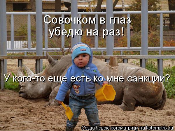 Котоматрица: У кого-то еще есть ко мне санкции? Совочком в глаз убедю на раз!
