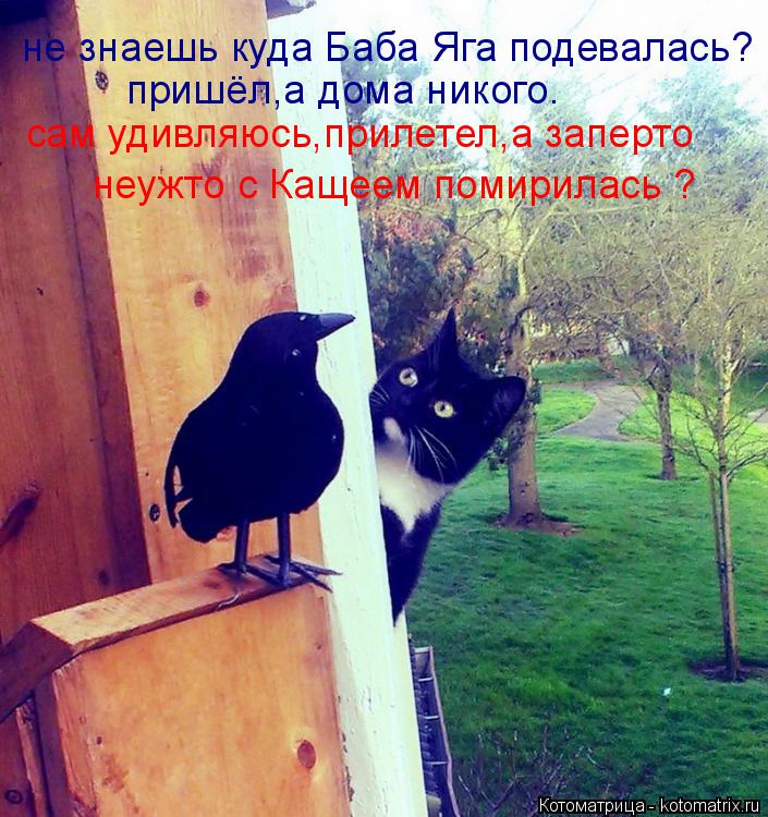 Котоматрица: не знаешь куда Баба Яга подевалась? пришёл,а дома никого. сам удивляюсь,прилетел,а заперто неужто с Кащеем помирилась ?