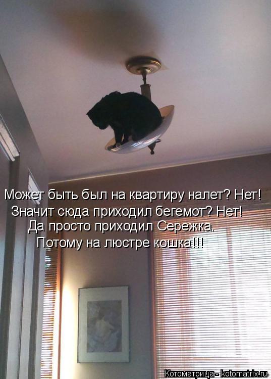 Котоматрица: Может быть был на квартиру налет? Нет! Значит сюда приходил бегемот? Нет! Да просто приходил Сережка. Потому на люстре кошка!!!