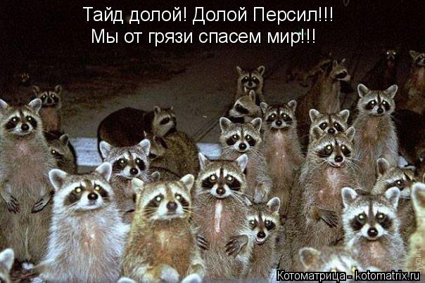 Котоматрица: Тайд долой! Долой Персил!!! Мы от грязи спасем мир!!!