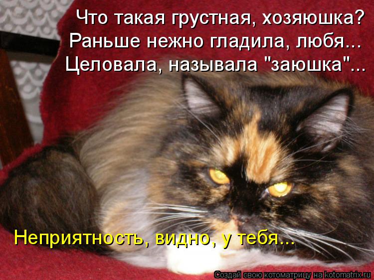 Котоматрица: Что такая грустная, хозяюшка?  Раньше нежно гладила, любя... Целовала, называла "заюшка"... Неприятность, видно, у тебя...