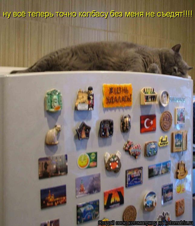 Котоматрица: ну всё теперь точно колбасу без меня не съедят!!!!
