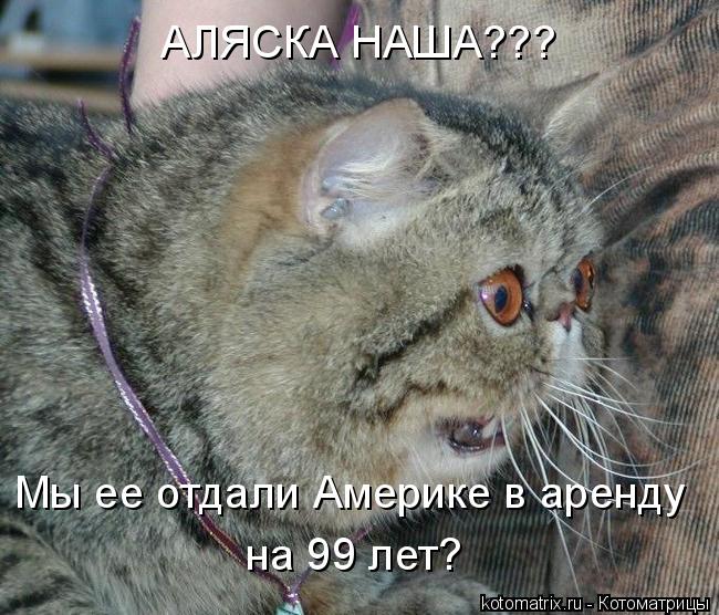 Котоматрица: АЛЯСКА НАША??? Мы ее отдали Америке в аренду  на 99 лет?