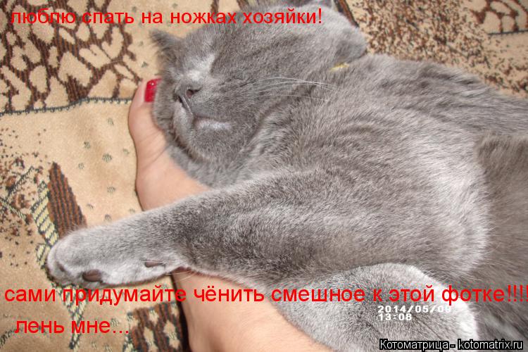 Котоматрица: люблю спать на ножках хозяйки! сами придумайте чёнить смешное к этой фотке!!!! лень мне...