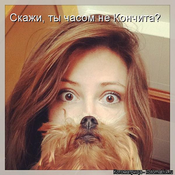 Котоматрица: Скажи, ты часом не Кончита?