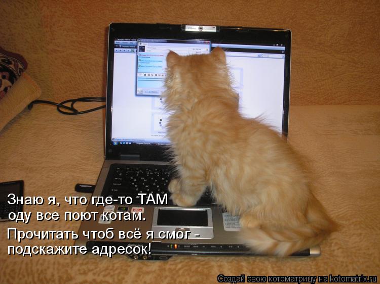 Котоматрица: Знаю я, что где-то ТАМ оду все поют котам. подскажите адресок! Прочитать чтоб всё я смог -
