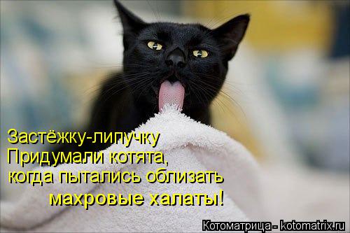 Котоматрица: Застёжку-липучку Придумали котята, когда пытались облизать махровые халаты!