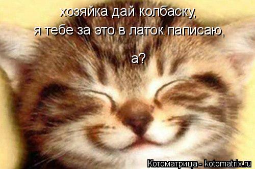 Котоматрица: а? хозяйка дай колбаску, я тебе за это в латок паписаю,