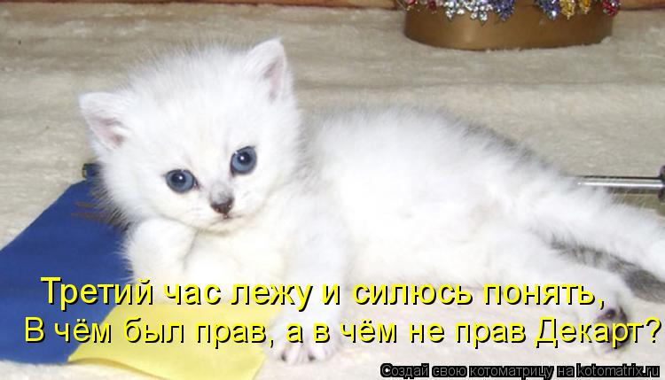 Котоматрица: В чём был прав, а в чём не прав Декарт? Третий час лежу и силюсь понять,