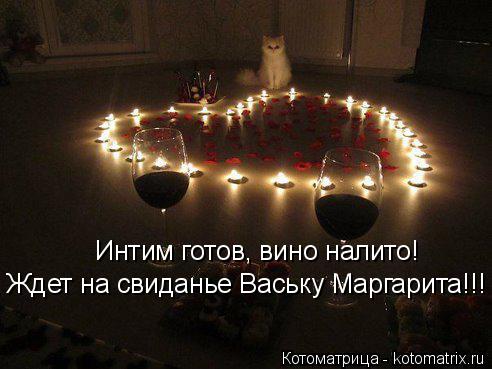 Котоматрица: Интим готов, вино налито! Ждет на свиданье Ваську Маргарита!!!