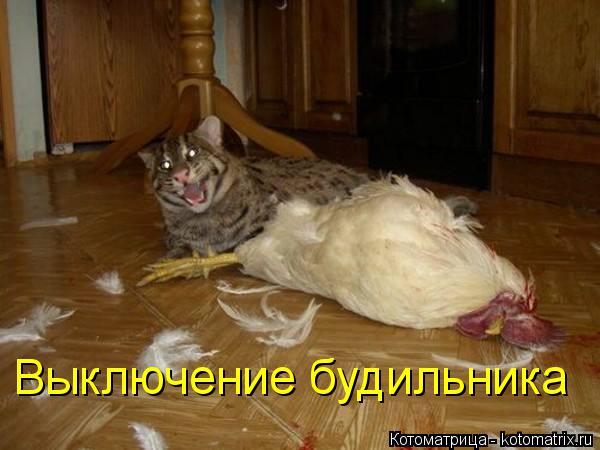 Котоматрица: Выключение будильника