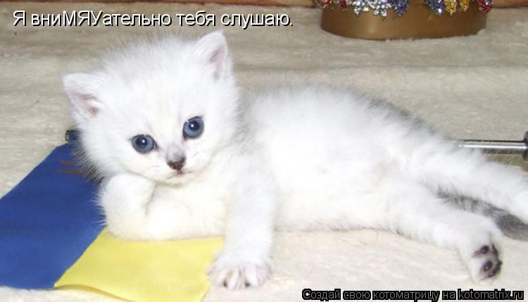 Котоматрица: Я вниМЯУательно тебя слушаю.