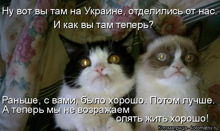 Котоматрица: Ну вот вы там на Украине, отделились от нас. И как вы там теперь? Раньше, с вами, было хорошо. Потом лучше. А теперь мы не возражаем опять жить х