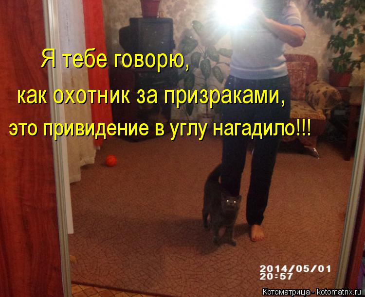 Котоматрица: Я тебе говорю, Я тебе говорю, как охотник за призраками, это привидение в углу нагадило!!!