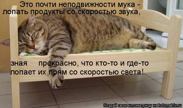 Котоматрица: Это почти неподвижности мука -  лопать продукты со скоростью звука, зная     прекрасно, что кто-то и где-то  лопает их прям со скоростью света!