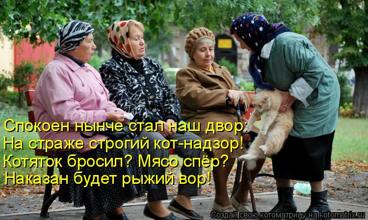 Котоматрица: Спокоен нынче стал наш двор: На страже строгий кот-надзор! Котяток бросил? Мясо спёр? Наказан будет рыжий вор!