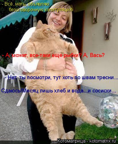 Котоматрица: - Всё, мать, объявляю  безоговорочную капитуляцию... - А, может, все-таки еще рыбки? А, Вась?   - Нет, ты посмотри, тут хоть по швам тресни...  Сдаюсь!