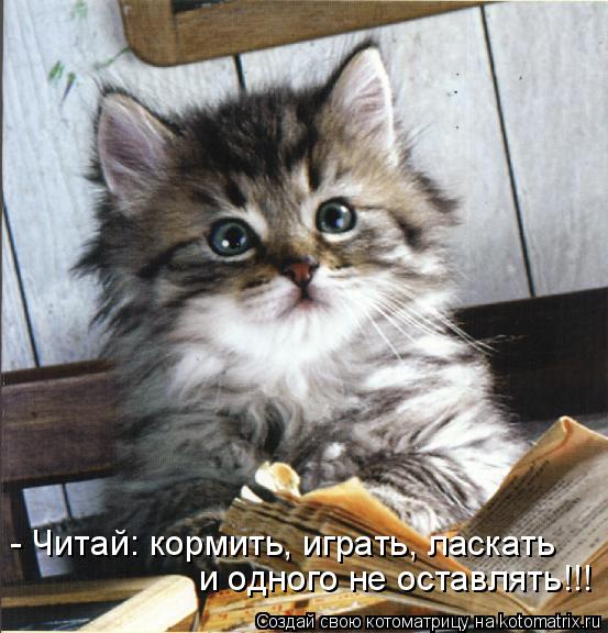 Котоматрица: - Читай: кормить, играть, ласкать и одного не оставлять!!!