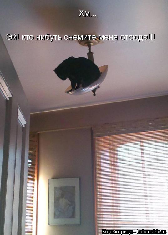 Котоматрица: Хм... Эй! кто нибуть снемите меня отсюда!!!