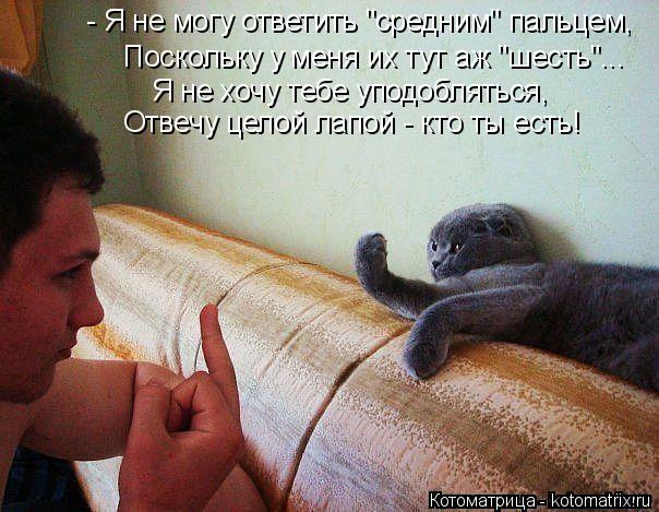 Котоматрица: - Я не могу ответить "средним" пальцем, Поскольку у меня их тут аж "шесть"... Я не хочу тебе уподобляться, Отвечу целой лапой - кто ты есть!
