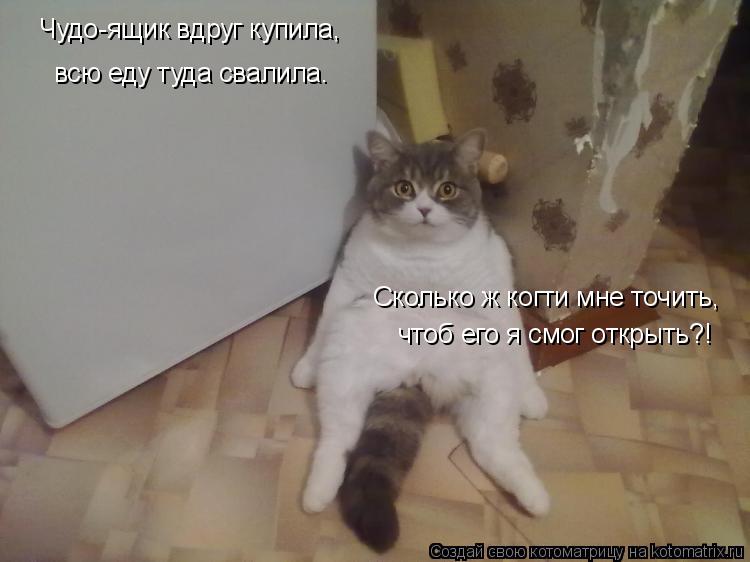Котоматрица: Чудо-ящик вдруг купила, Сколько ж когти мне точить, чтоб его я смог открыть?! всю еду туда свалила.