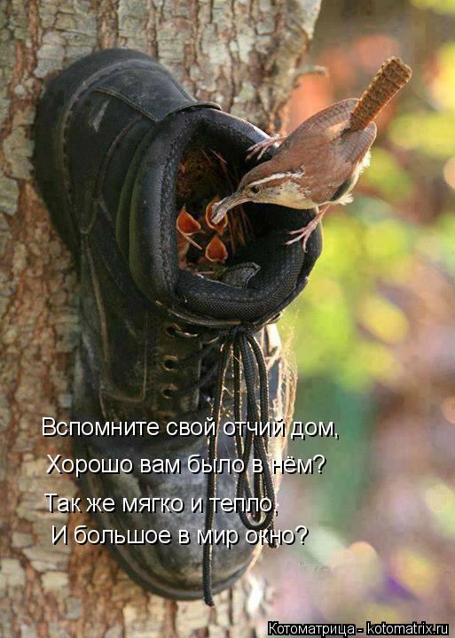 Котоматрица: Вспомните свой отчий дом, Хорошо вам было в нём? Так же мягко и тепло, И большое в мир окно?