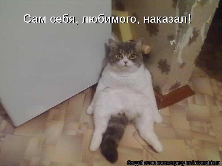 Котоматрица: Сам себя, любимого, наказал!