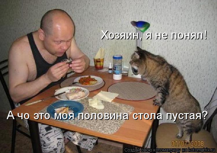 Котоматрица: Хозяин, я не понял! А чо это моя половина стола пустая?