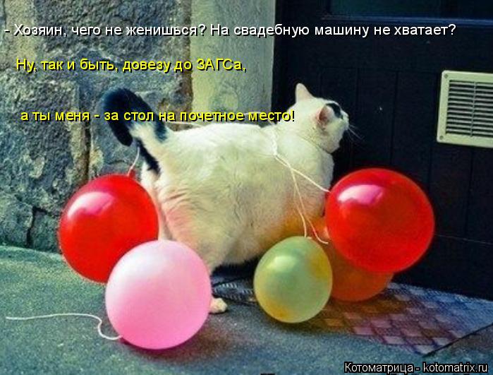 - Хозяин, чего не женишься? На свадебную машину не хватает? Ну, так и быть, довезу до ЗАГСа, а ты ме... Котоматрица: - Хозяин, чего не женишься? На свадебную машину не хватает? Ну, так и быть, довезу до ЗАГСа, а ты меня - за стол на почетное место!