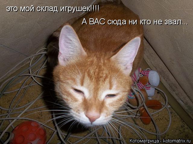 Котоматрица: это мой склад игрушек!!!! А ВАС сюда ни кто не звал...