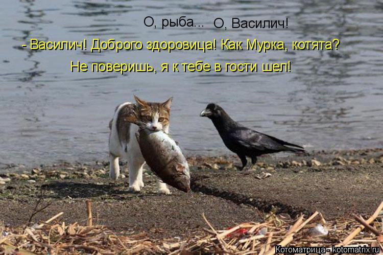Котоматрица: О, рыба...  О, Василич! - Василич! Доброго здоровица! Как Мурка, котята? Не поверишь, я к тебе в гости шел!