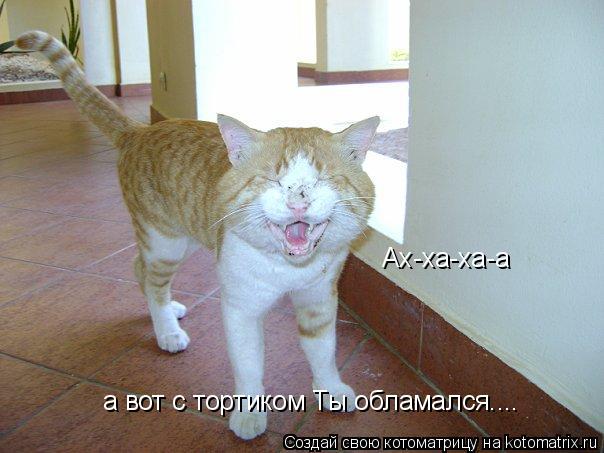 а вот с тортиком Ты обламался.... Ах-ха-ха-а... Котоматрица: а вот с тортиком Ты обламался.... Ах-ха-ха-а