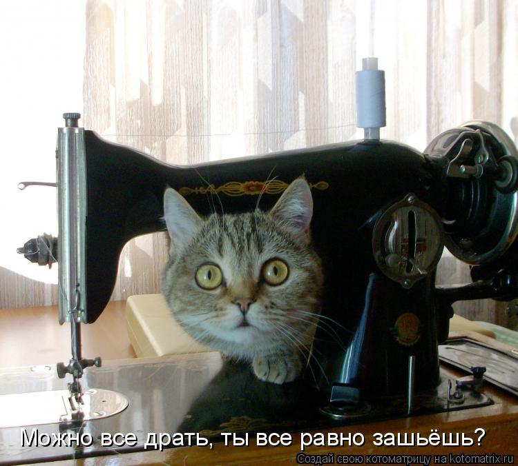 Котоматрица: Можно все драть, ты все равно зашьёшь?