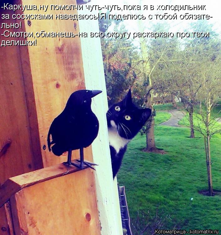 Котоматрица: -Каркуша,ну помолчи чуть-чуть,пока я в холодильник за сосисками наведаюсь!Я поделюсь с тобой обязате- льно! -Смотри,обманешь-на всю округу ра