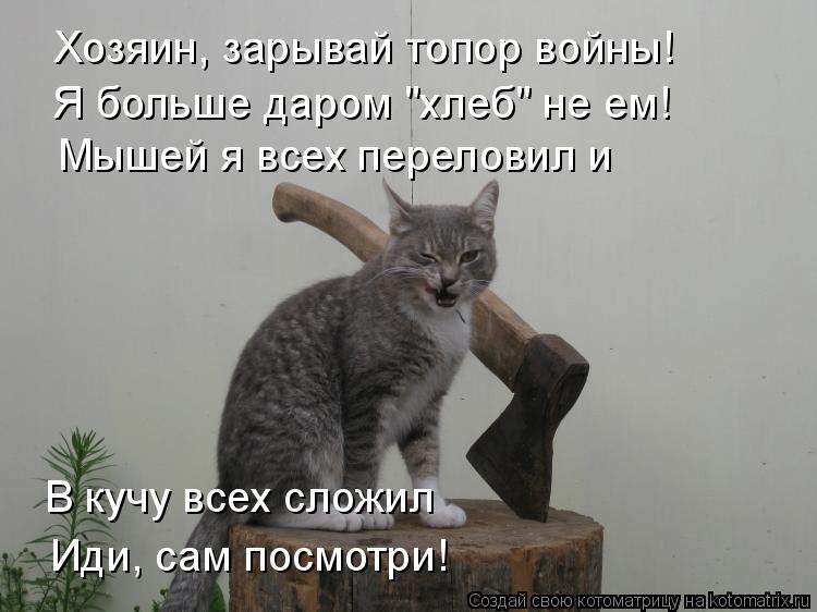 Котоматрица: Хозяин, зарывай топор войны! Я больше даром "хлеб" не ем! Мышей я всех переловил и В кучу всех сложил Иди, сам посмотри!