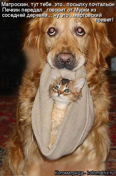 Котоматрица: Матроскин, тут тебе..это.. посылку почтальон Печкин передал... Печкин передал...говорит от Мурки из  соседней деревни... ну это...мартовский при