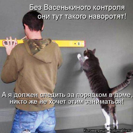 Котоматрица: Без Васенькиного контроля они тут такого наворотят! А я должен следить за порядком в доме,  никто же не хочет этим заниматься!